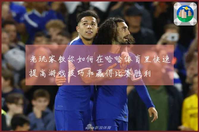 老玩家教你如何在哈哈体育里快速提高游戏技巧和赢得比赛胜利