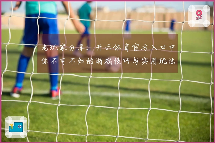 老玩家分享：开云体育官方入口中你不可不知的游戏技巧与实用玩法
